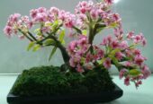 Elegant Home Décor Collection – Artistic, Stylish & Handcrafted