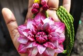Exclusive Handmade Clay Jewellery Collection