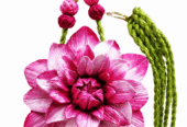 Exclusive Handmade Clay Jewellery Collection